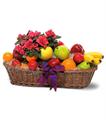 Plant And Fruit Basket 
