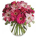 Soothing Elegance Pink Gerberas