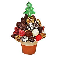 Sweet Arrangement of Dream Berry Chocolate Tree