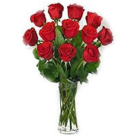 Bright N Beautiful Arrangement of 12 Roses in a Vase