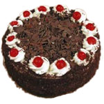 Rich Coco Forest Gateau